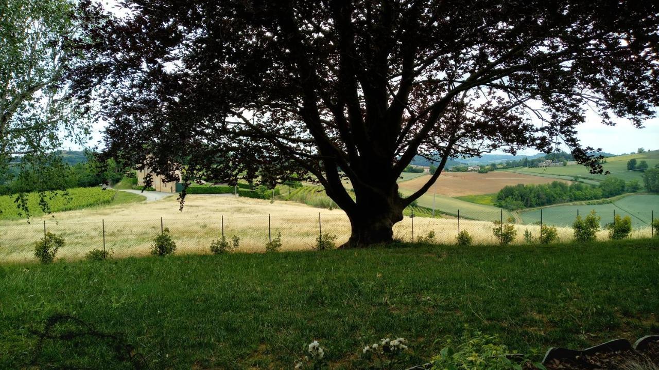 Villa Pieve Moncalvo Buitenkant foto